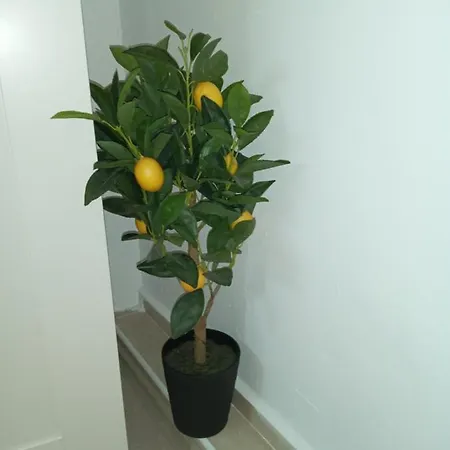 Art Atelier Geri With A Terrace, Free Parking & Wi-fi *